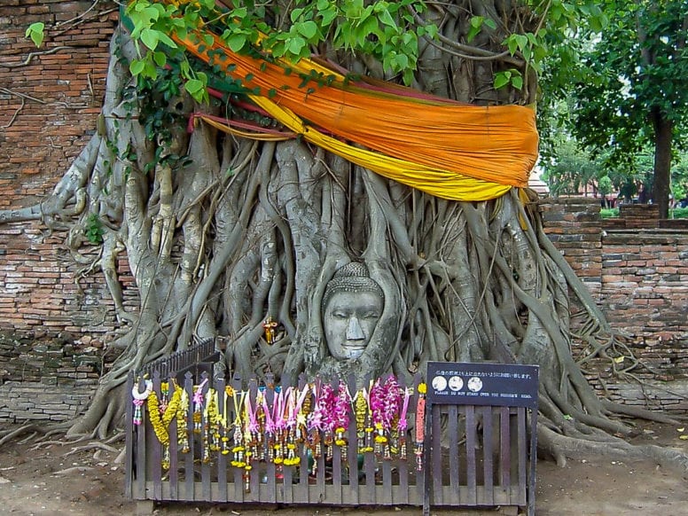 ayutthaya day trip