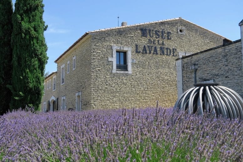 lavender museum provence france