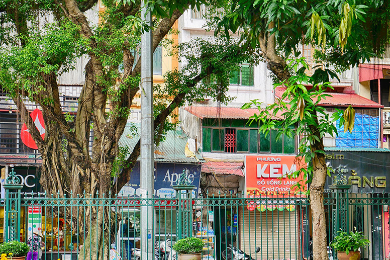 Hanoi Street