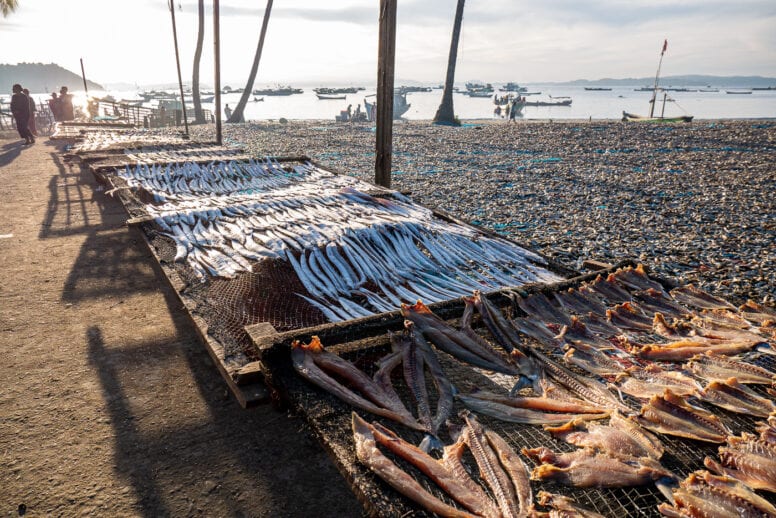 fisherman village dry fish