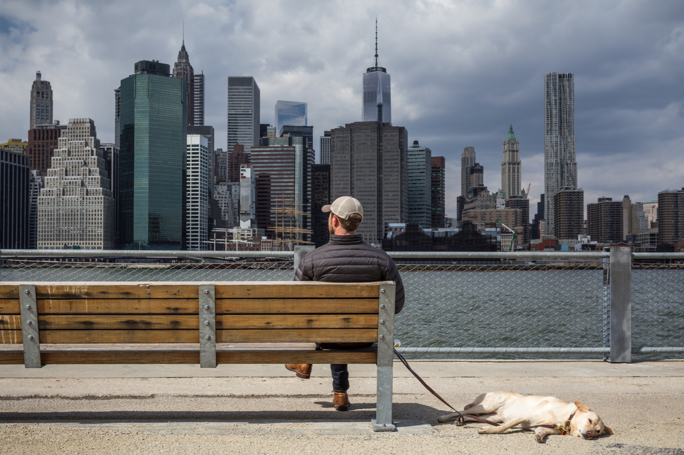 PetFriendly Hotels in New York City