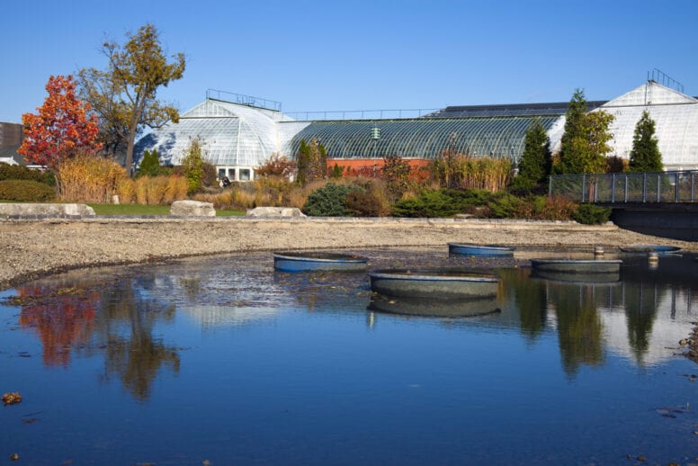 garfield park conservatory chicago