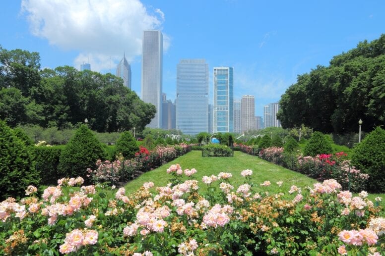 things to do in chicago grant park